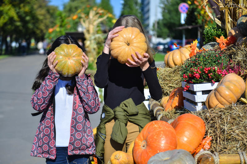 Исследование МГПУ: новые экскурсионные тренды Москвы
