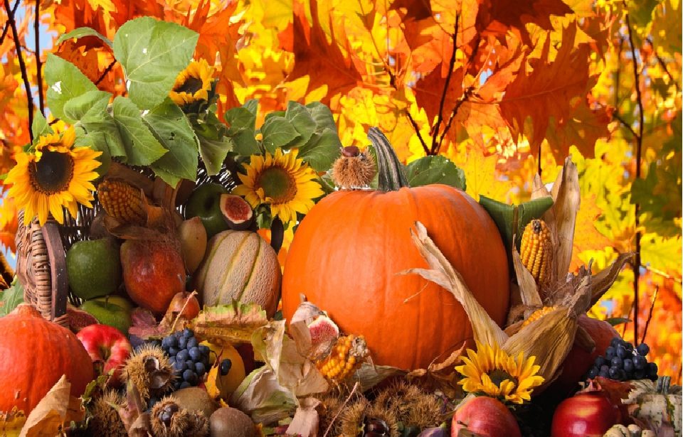 Праздник осени