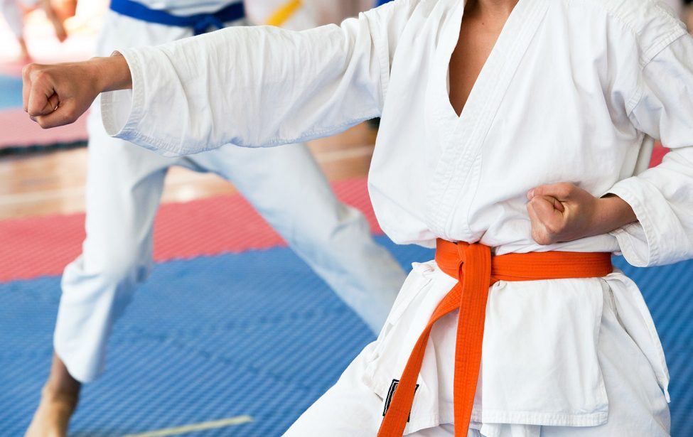 Мастер-классы в Школе боевых искусств МГПУ