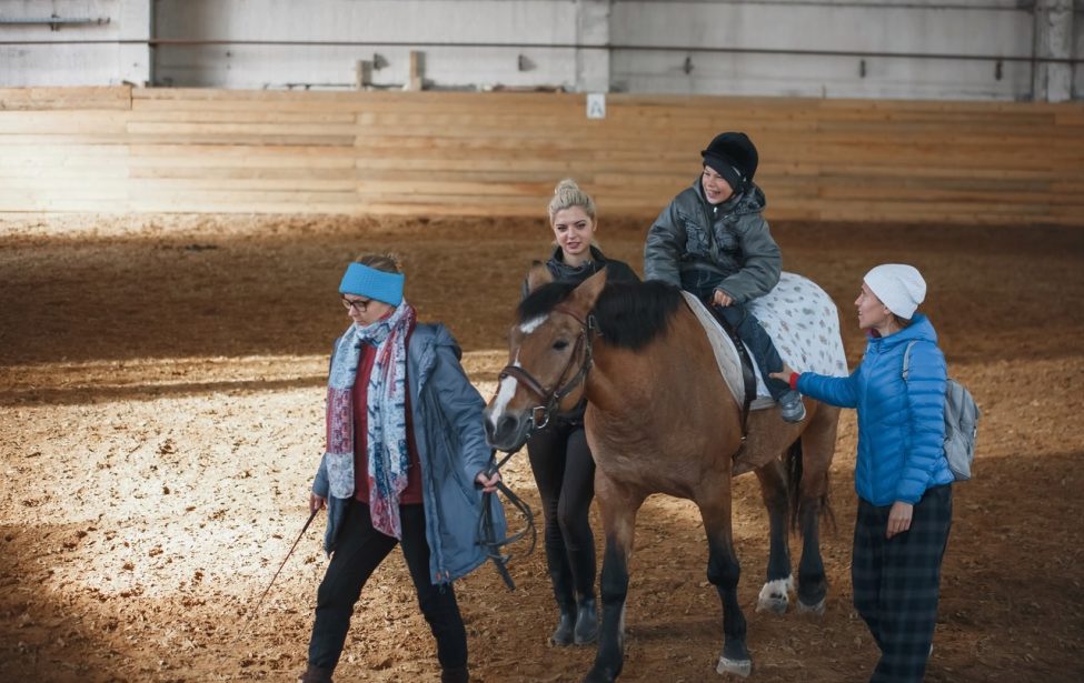 Студенты ПИФКиС познакомились с&nbsp;практикой иппотерапии