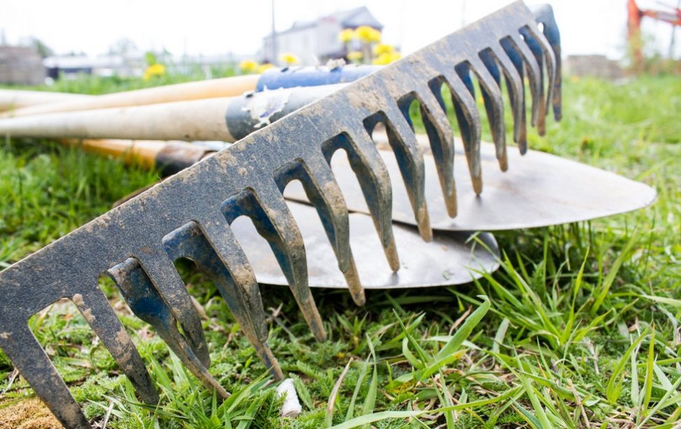 Субботник в Зеленоградском отделении МГПУ