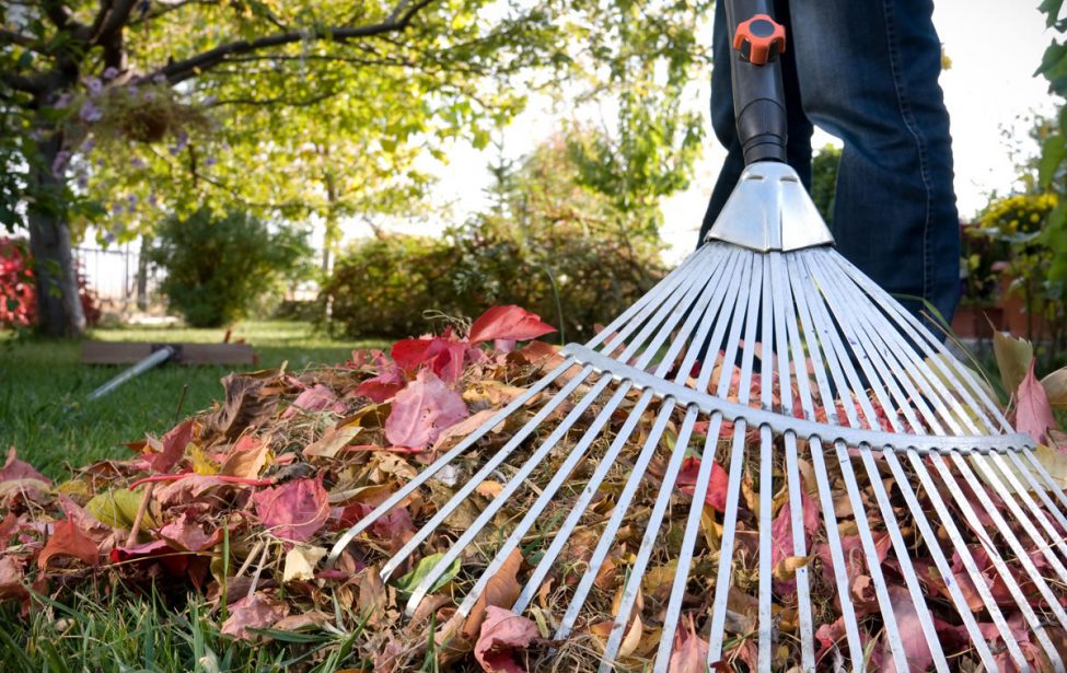 Все на&nbsp;субботник!