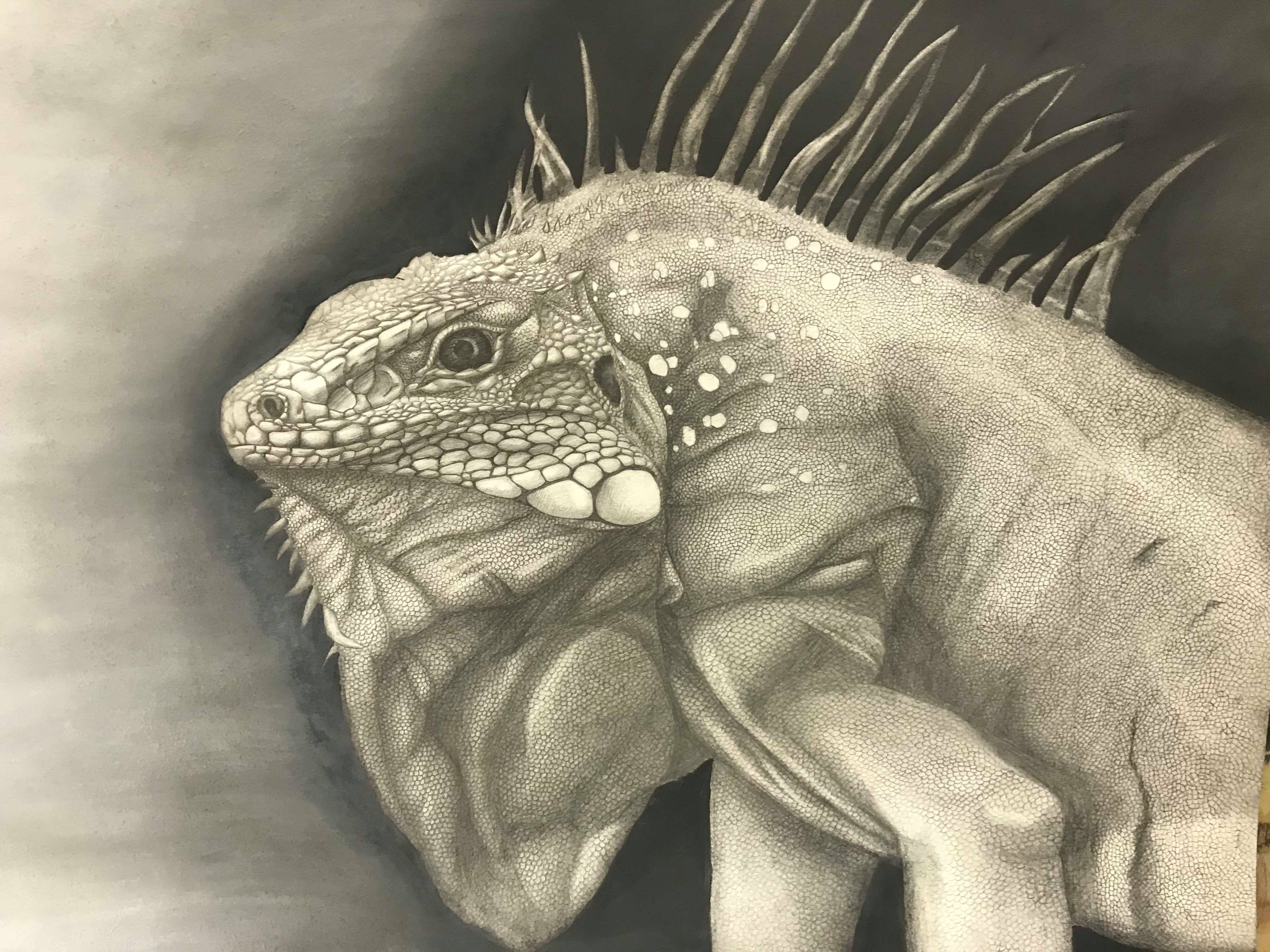 Май-июнь 2018: Просмотры