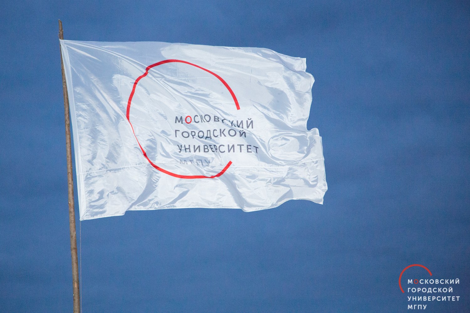 Лесной турнир