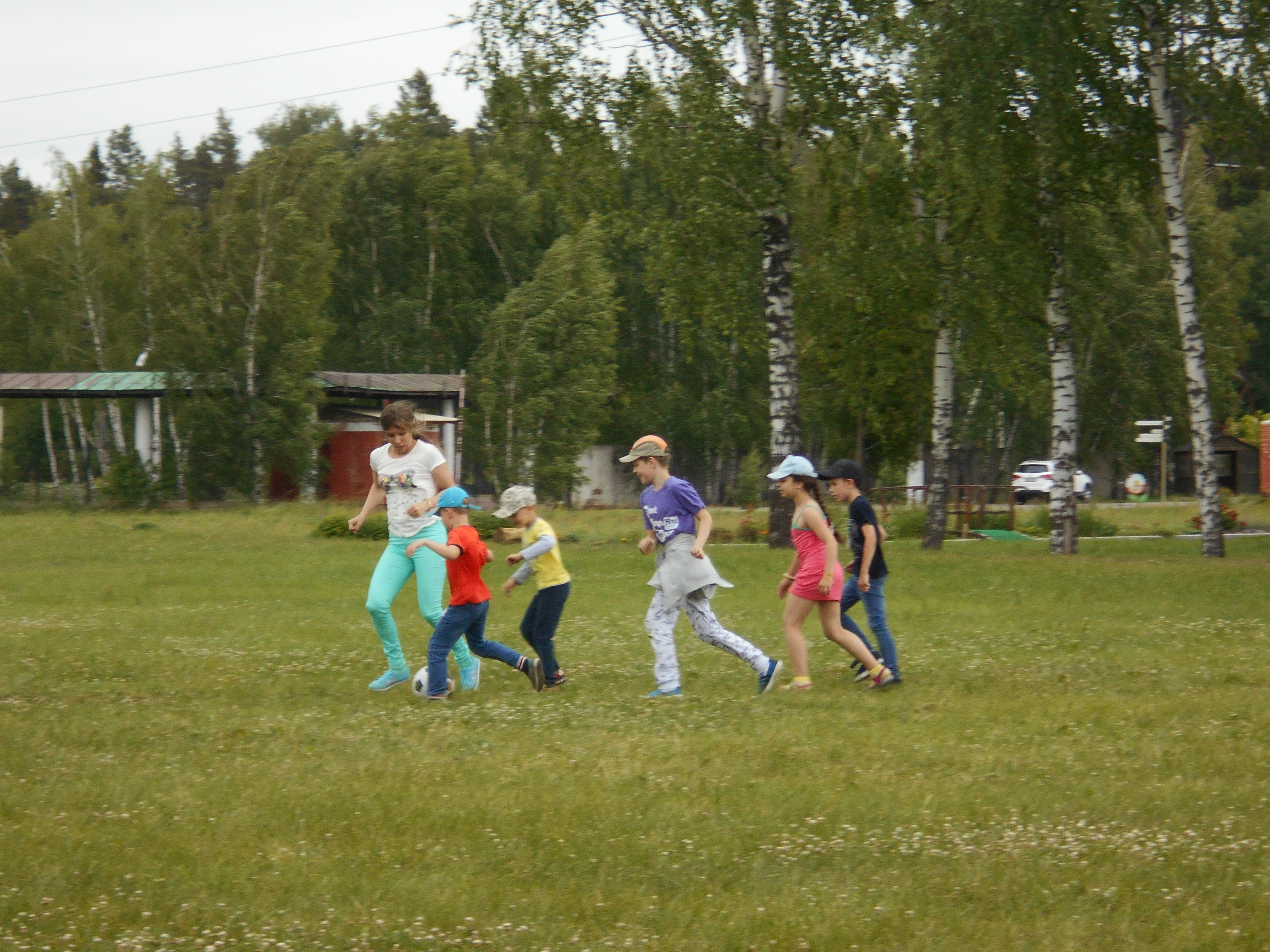 ИППО в детском лагере BabyCamp