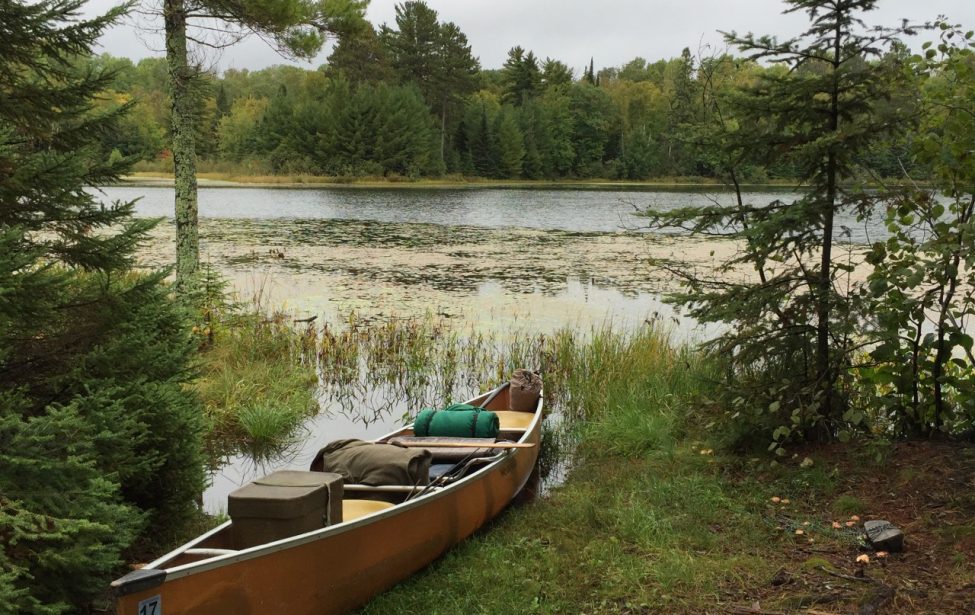 В&nbsp;диких условиях