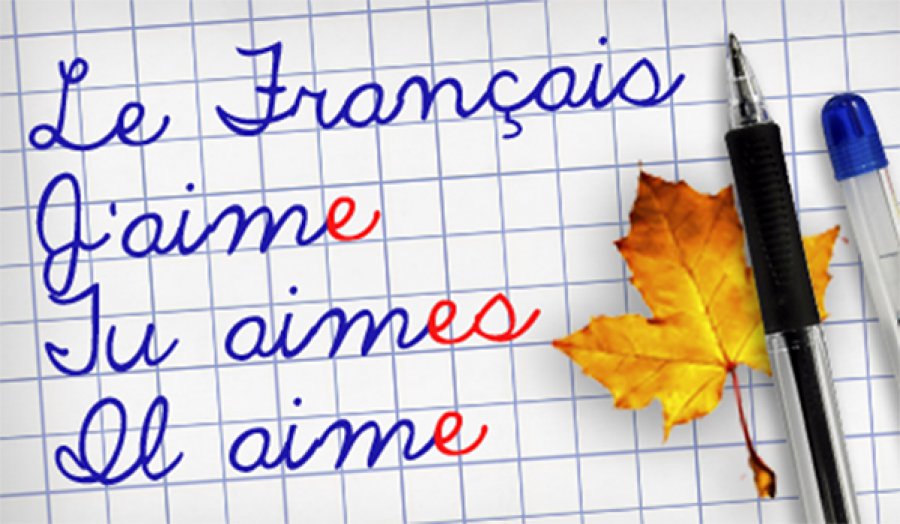 Международный день грамотности в ИИЯ