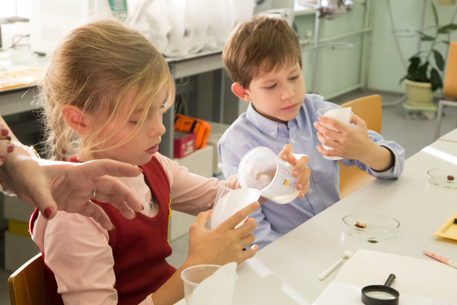 Проектная деятельность. Старт-ПРО. Октябрь 2018.