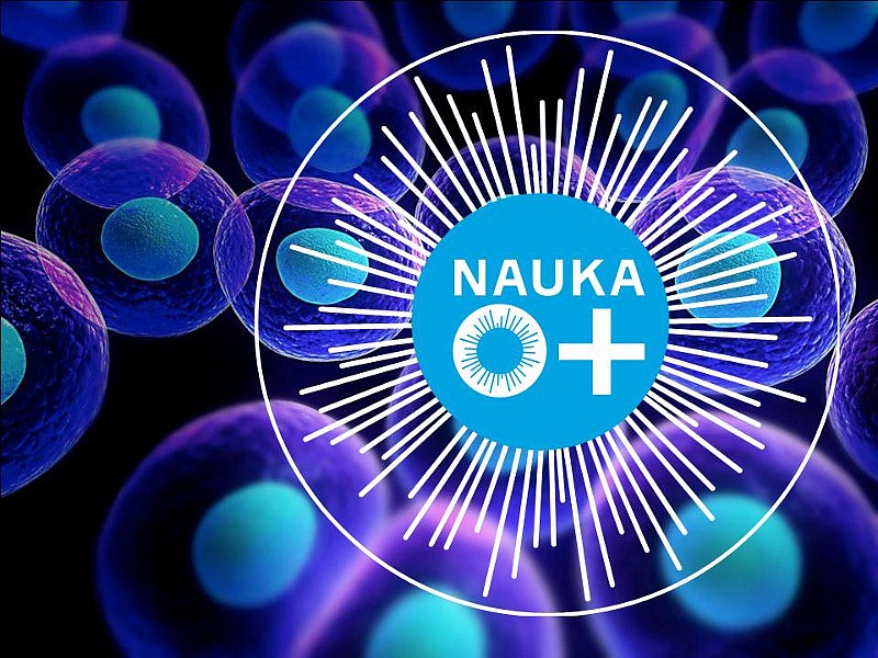 Фестиваль науки &laquo;NAUKA 0+&raquo;