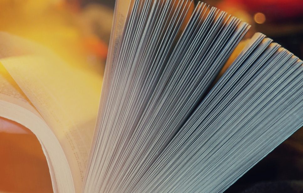 Читатель в поиске