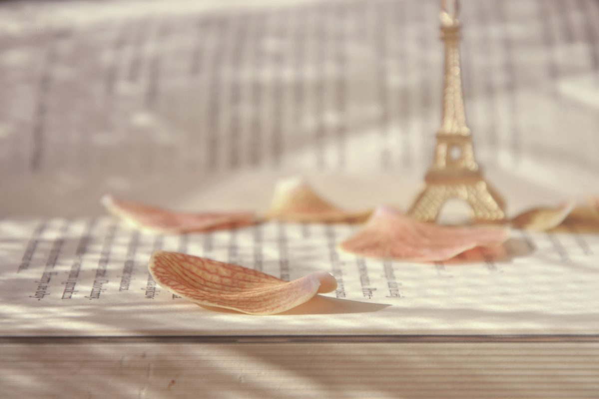 Вниманию франкофонов: конкурс переводов