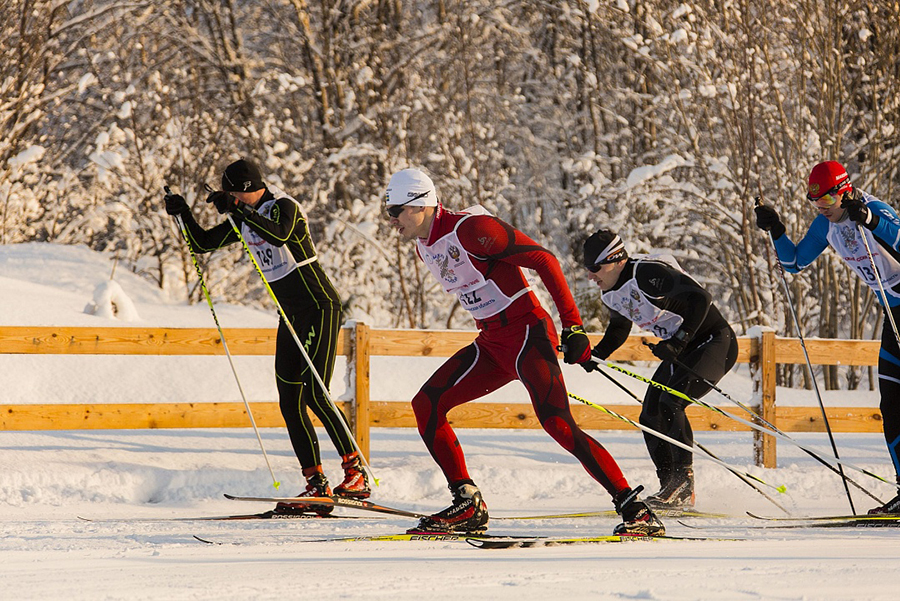 Соревнования по зимним видам спорта (лыжи) и плаванию