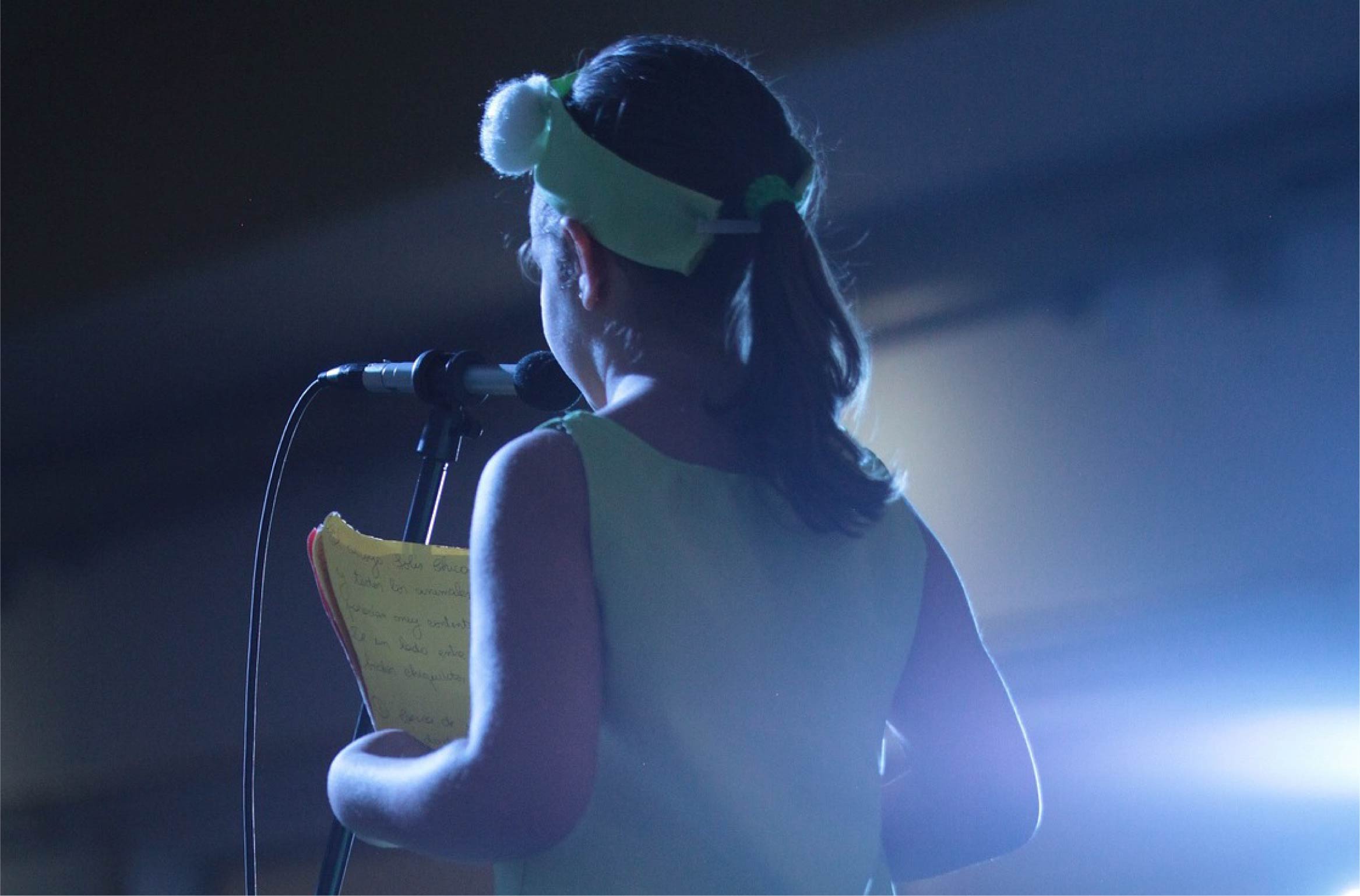 Литературно-педагогические чтения в&nbsp;Гайдаровке