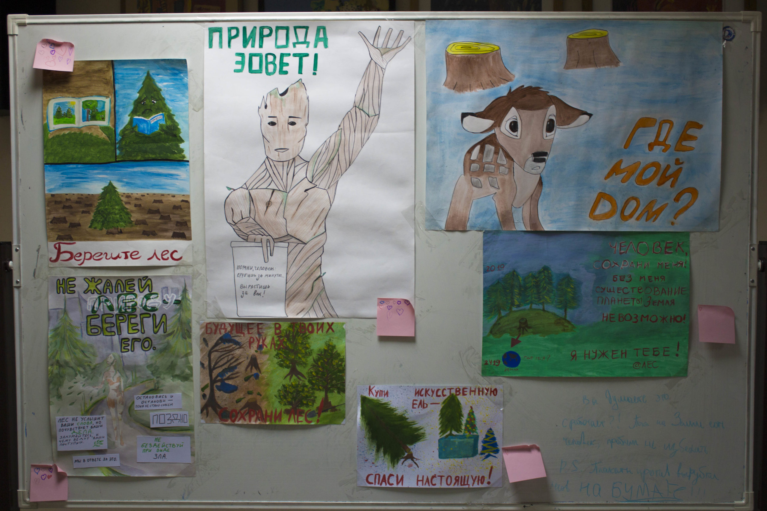 Подведены итоги конкурса экологических плакатов