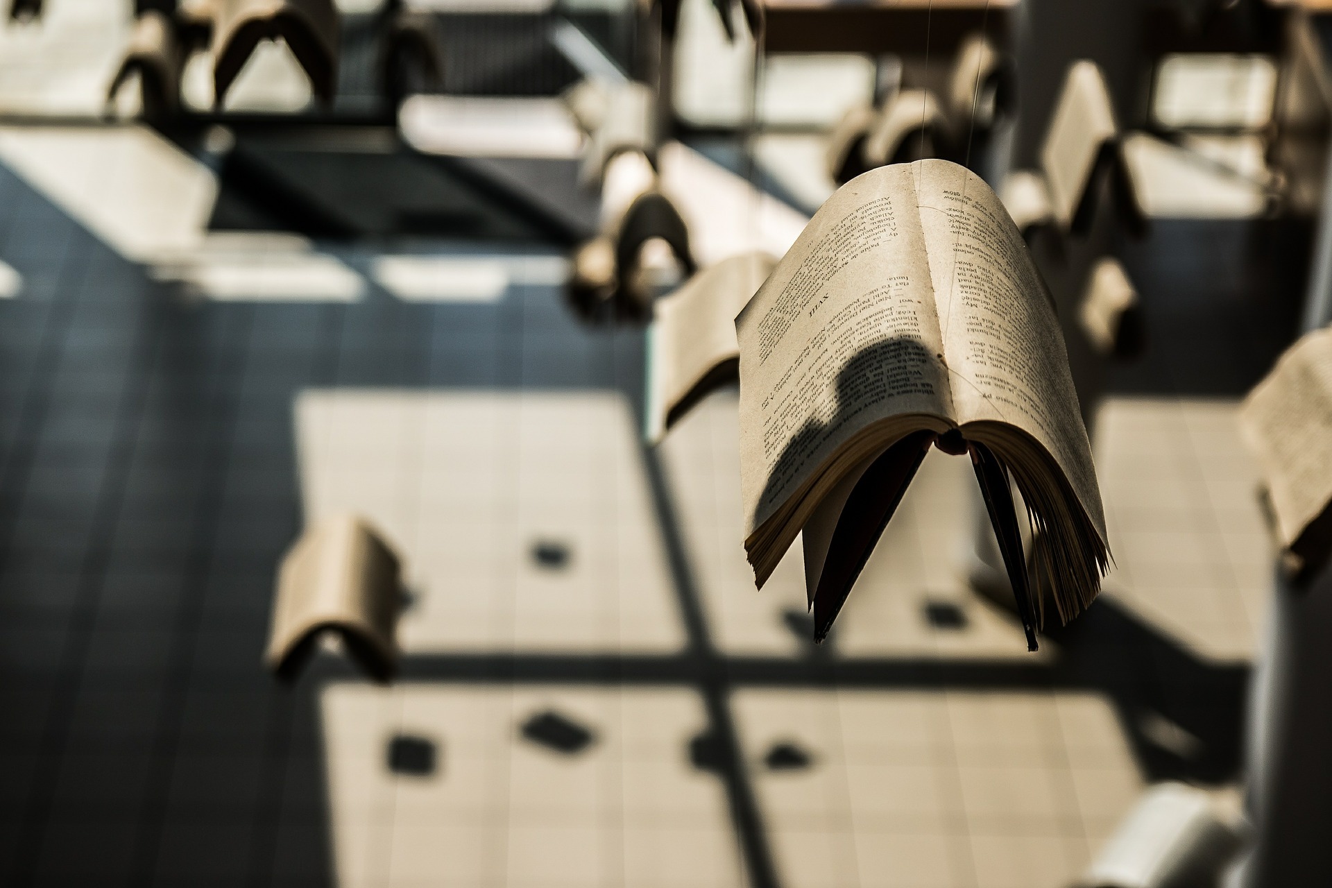 Образовательная политика, компетенции, оценка