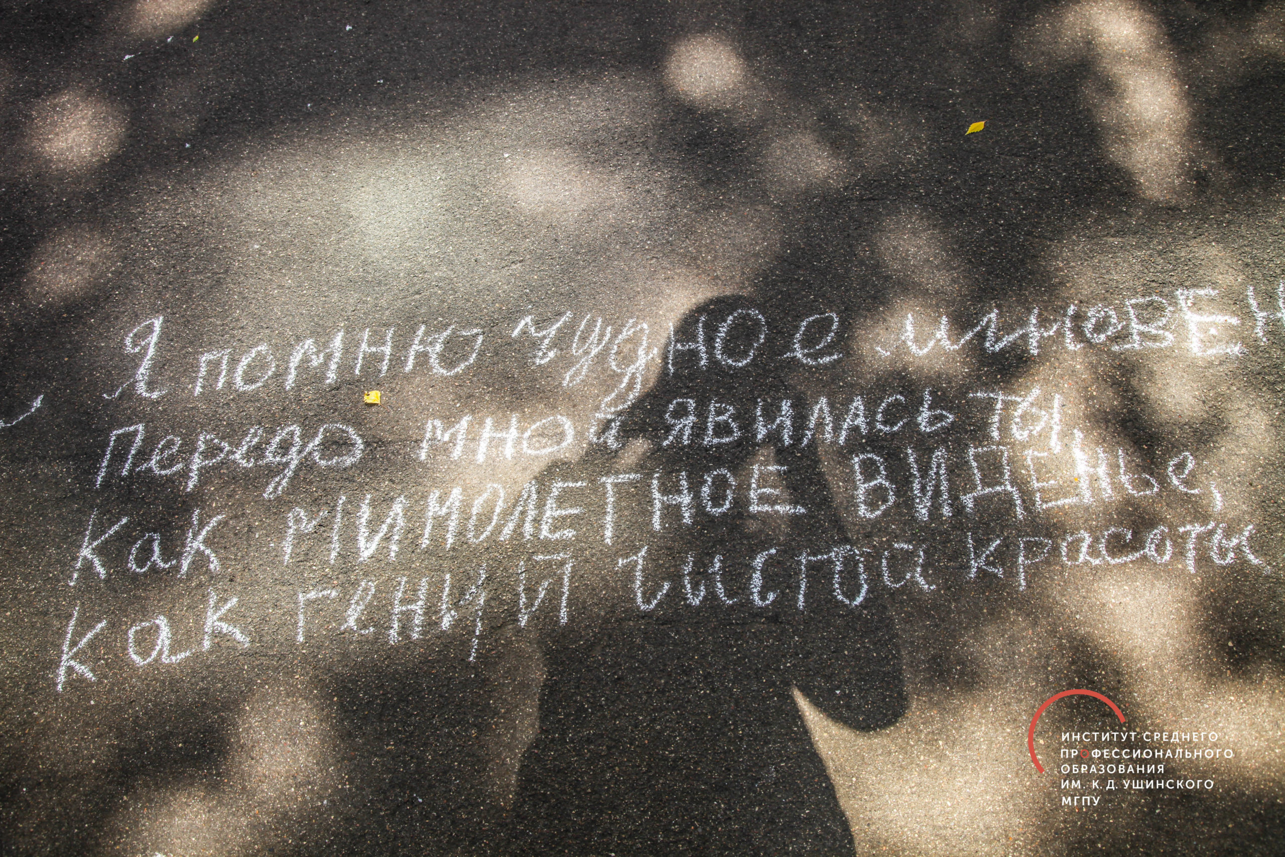 Пушкин в&nbsp;городе