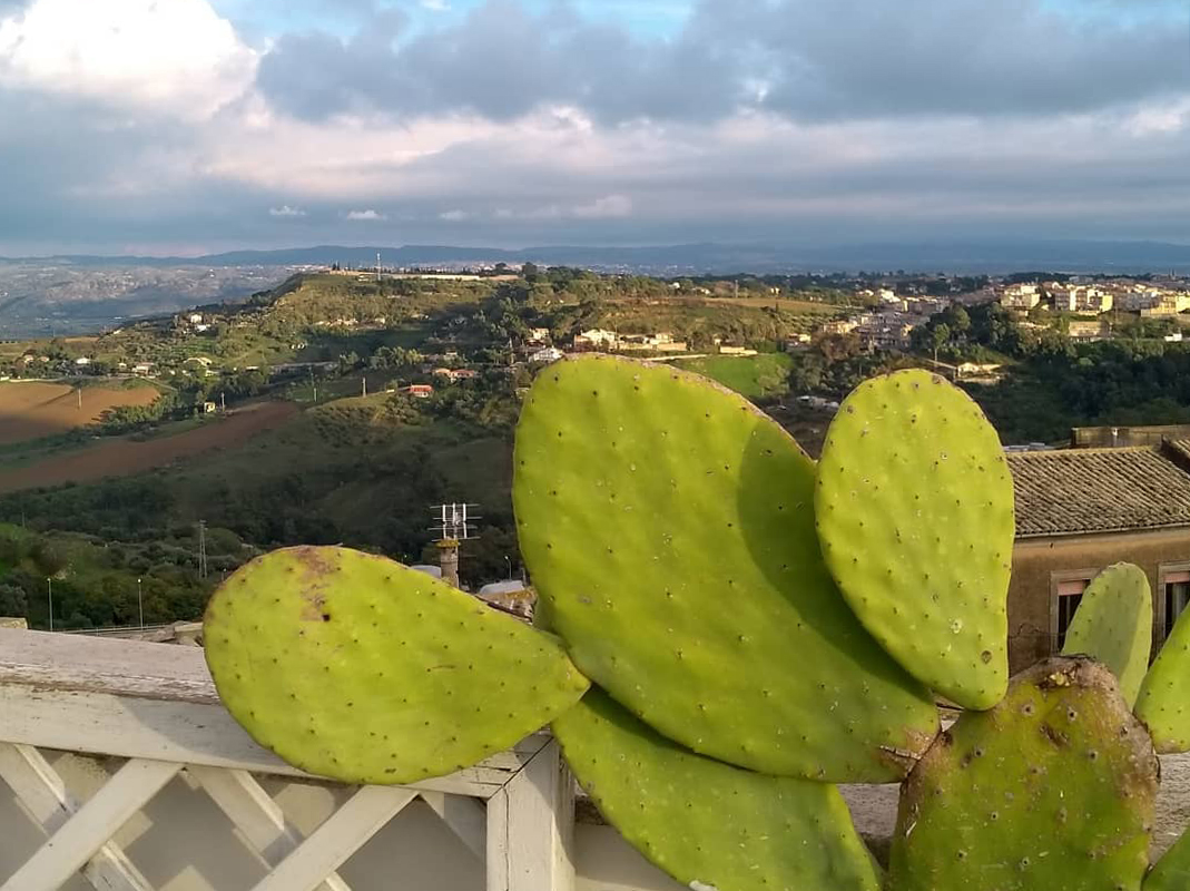 15Кальтаджироне.Ноябрь 2019. Мария Семёнова. ИКИ