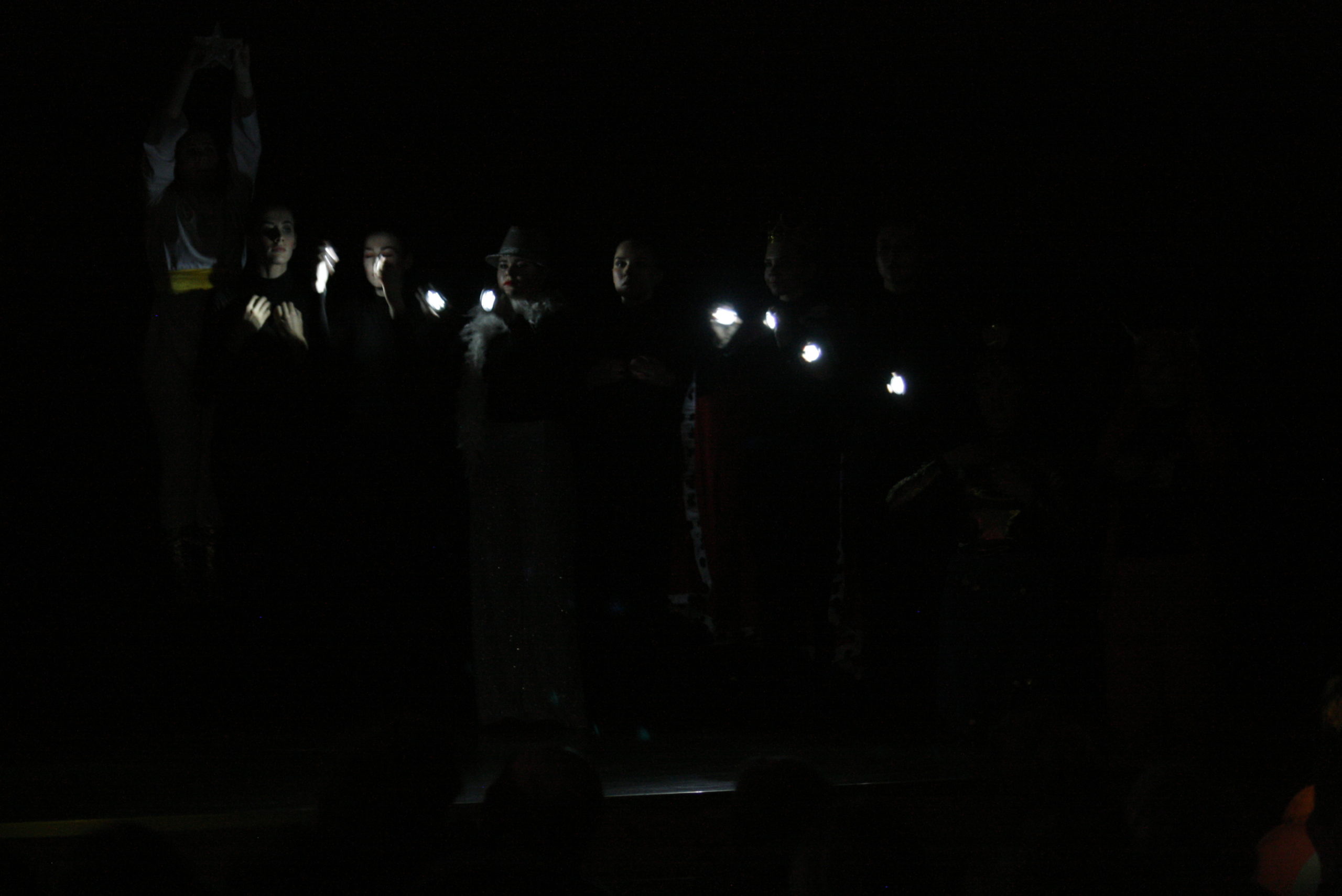 1828.11.19 Полет за счастьем. 4 курс СКД. О.Ершова