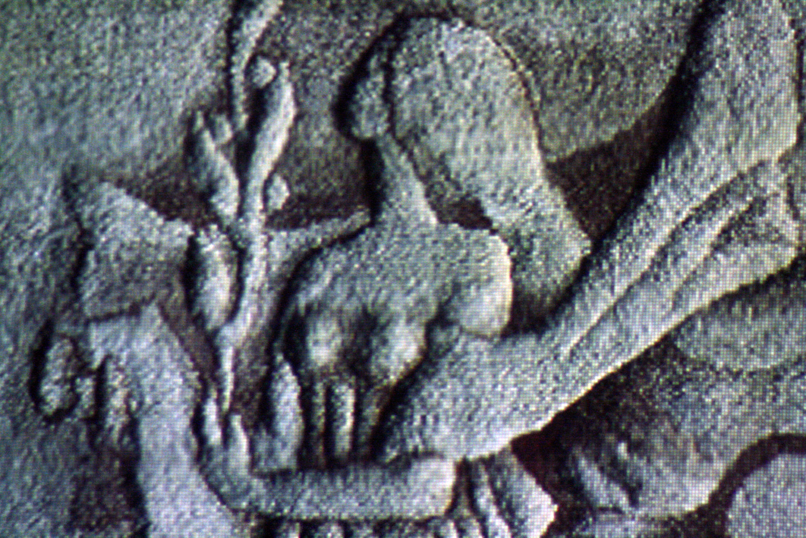 12.11.2019 Встреча с&nbsp;историком текстиля Ириной Дворкиной