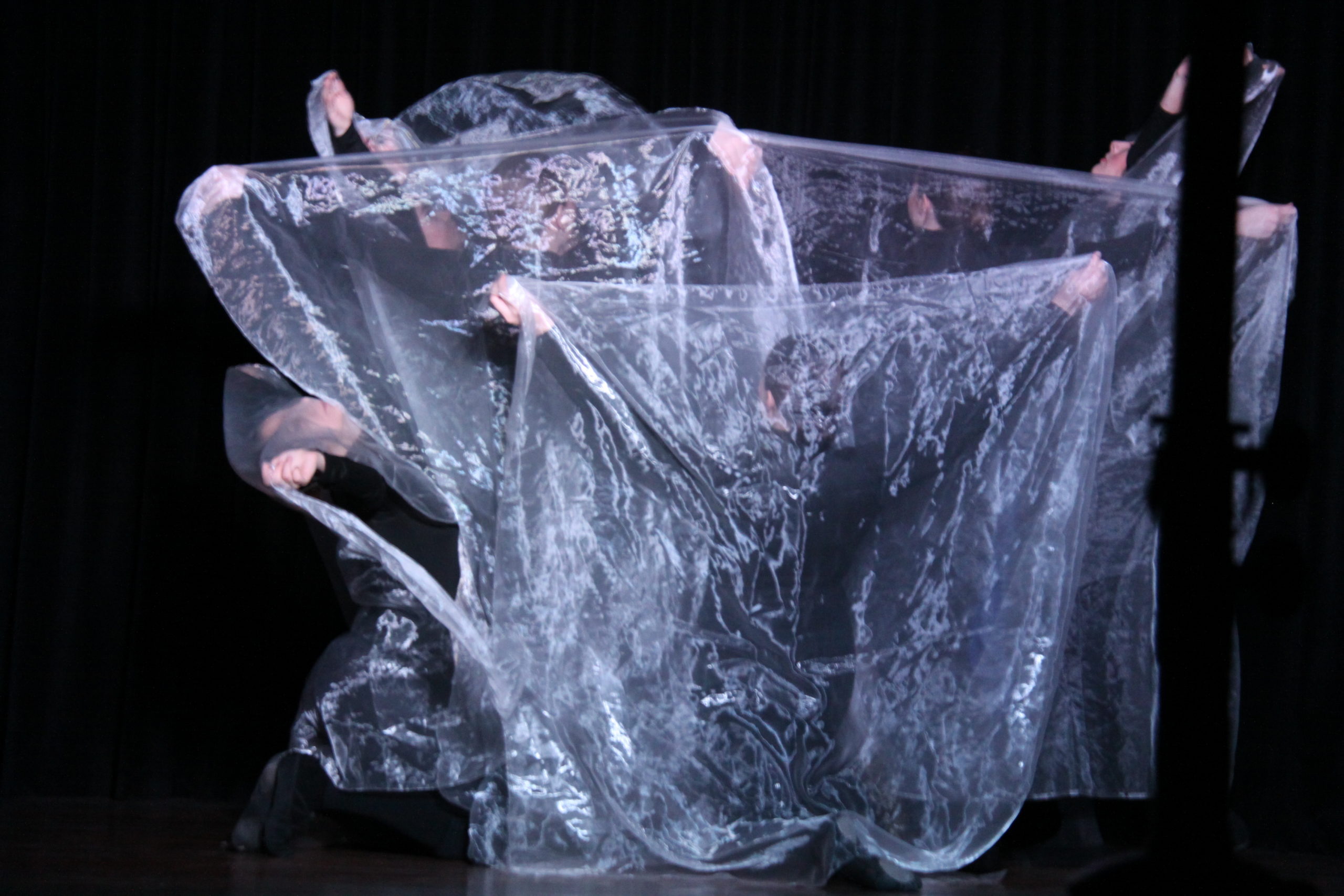 3428.11.19 Полет за счастьем. 4 курс СКД. О.Ершова