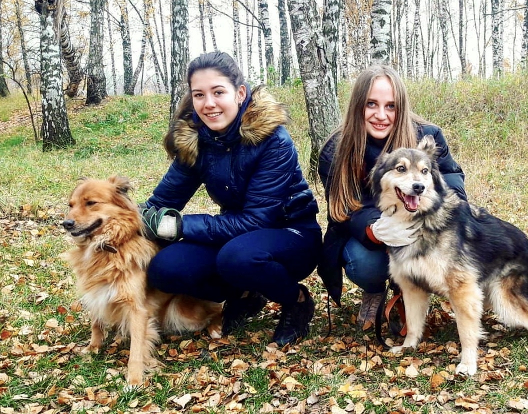 Студенты помогают приюту для животных «Некрасовка»