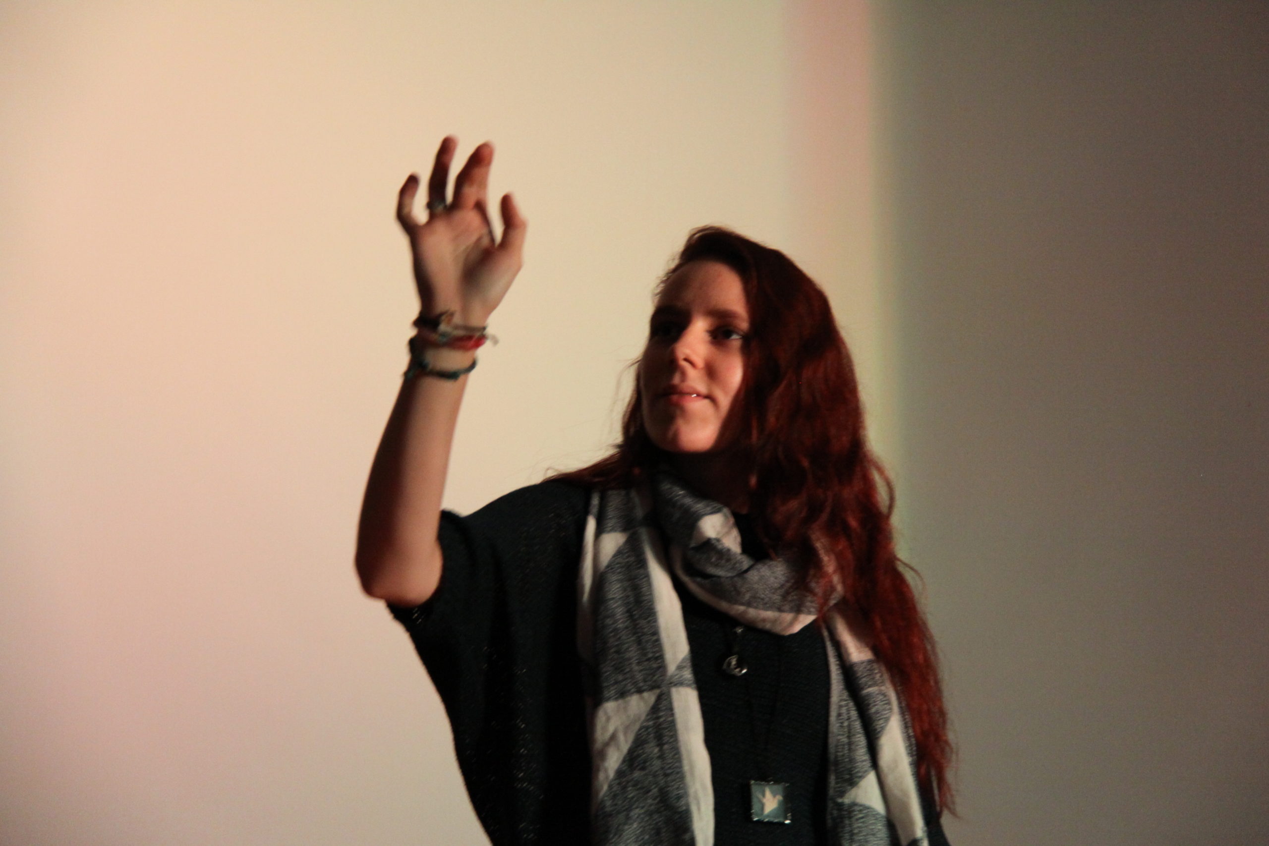 16.12.19 Показ.Голодные игры.Элективный курс Н.Опариной. ИКИ8