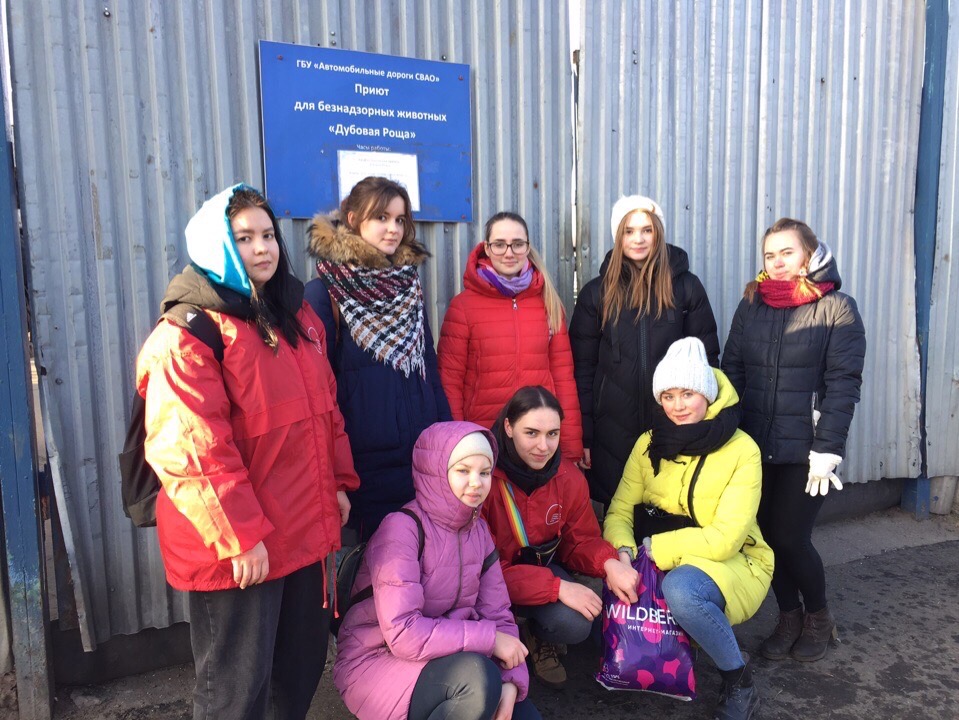 Волонтеры ИЦО оказали помощь приюту для животных