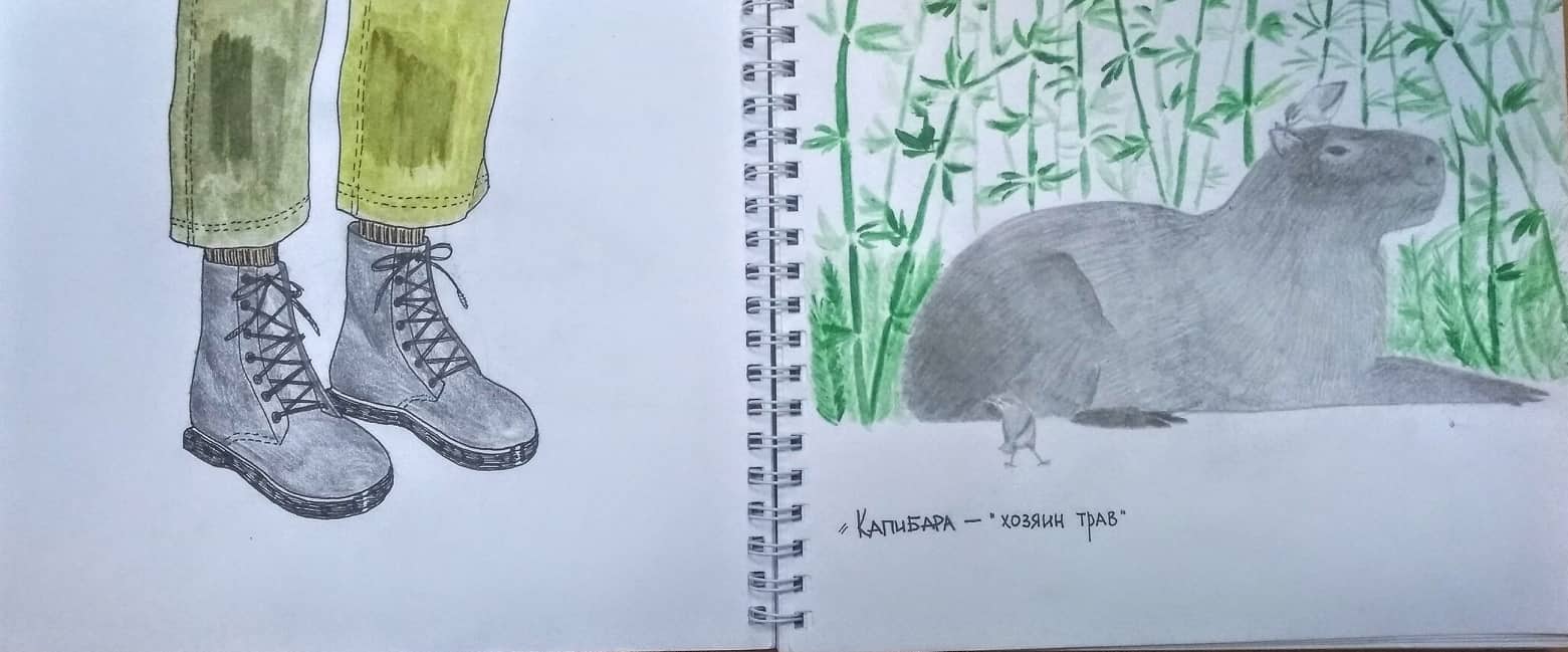 79340612_559635117929826_880286171886780416_n