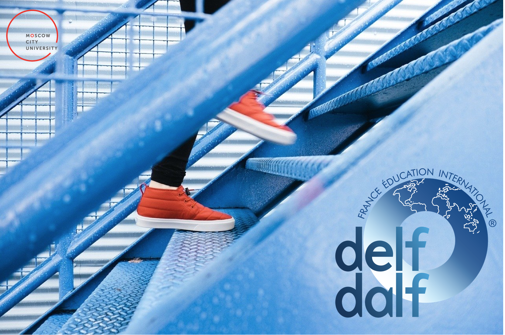 Результаты сдачи международных экзаменов по&nbsp;французскому языку