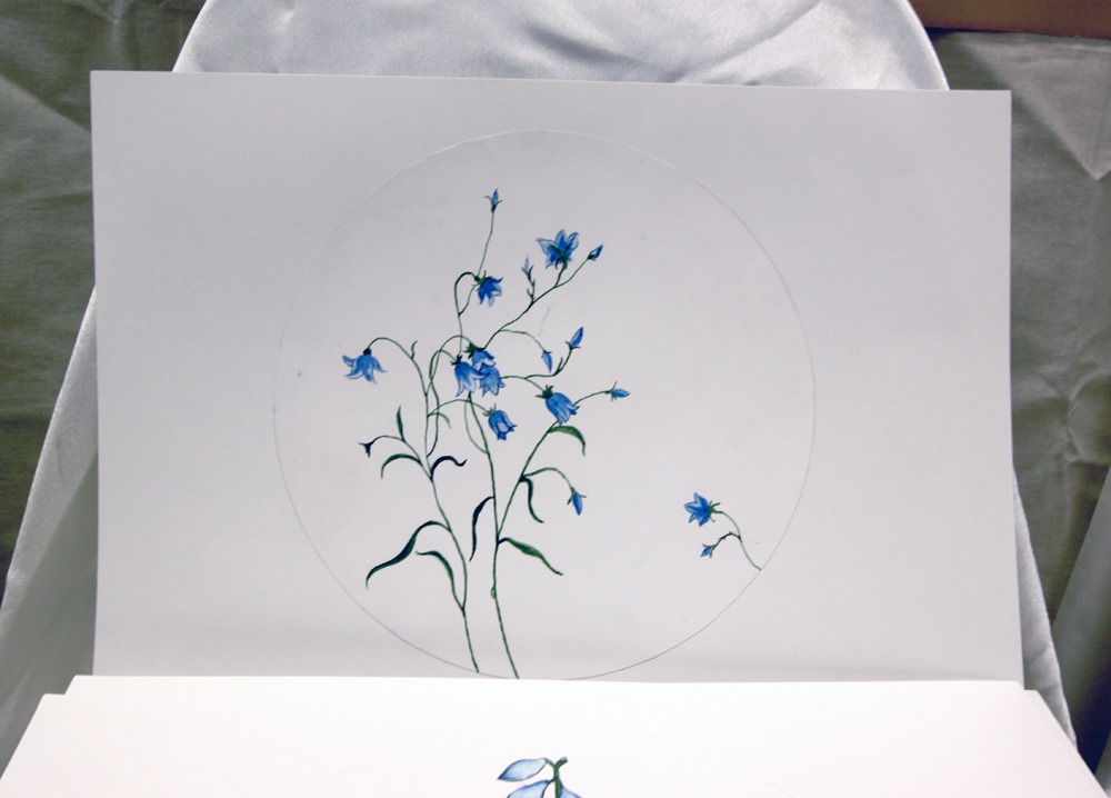 81530200_2552515775074105_2763259787901665280_o