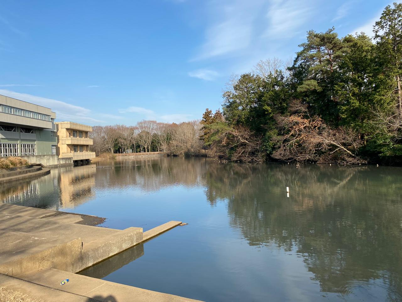 e3f703c1-f8dd-4d0c-aa50-87551b0c938d