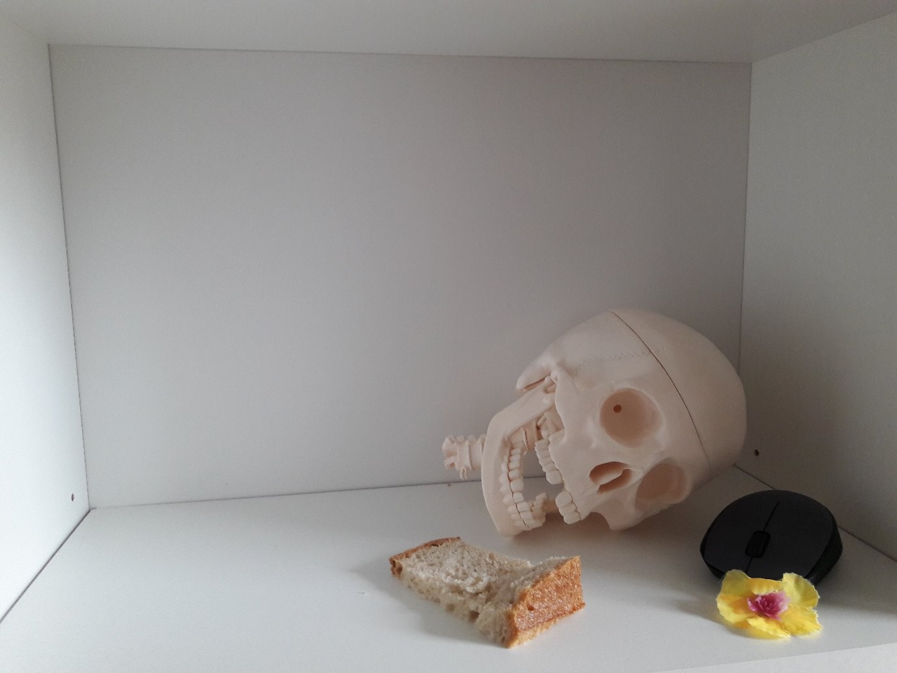 Даниил ульянов