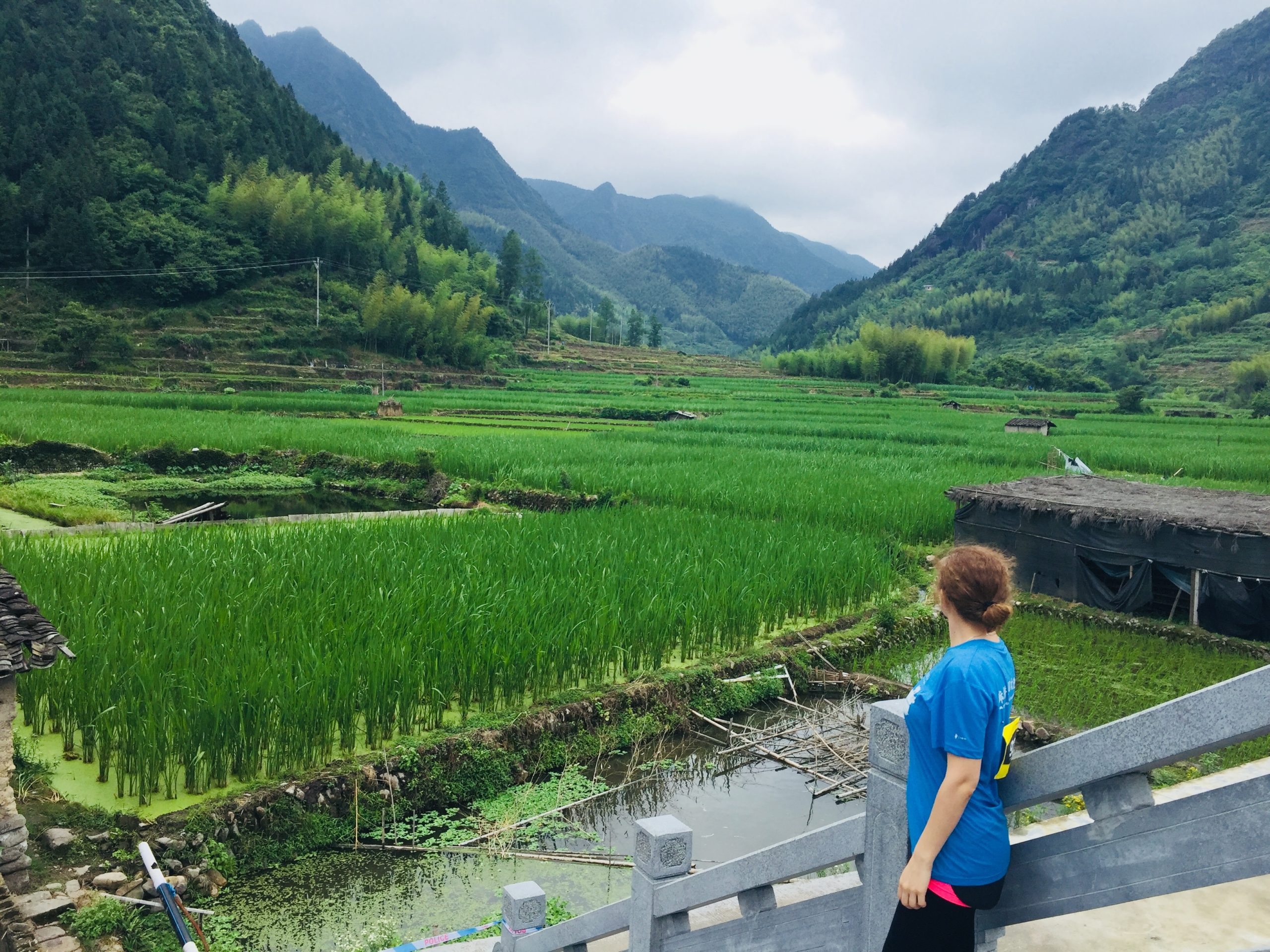 Китай А. Николаева