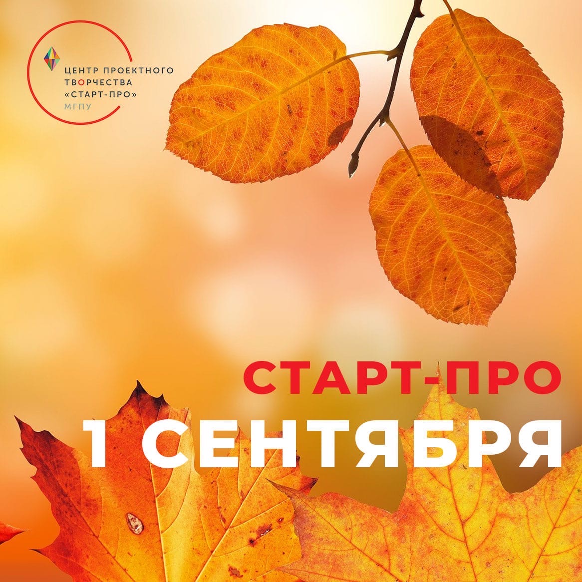 С&nbsp;Днем знаний!