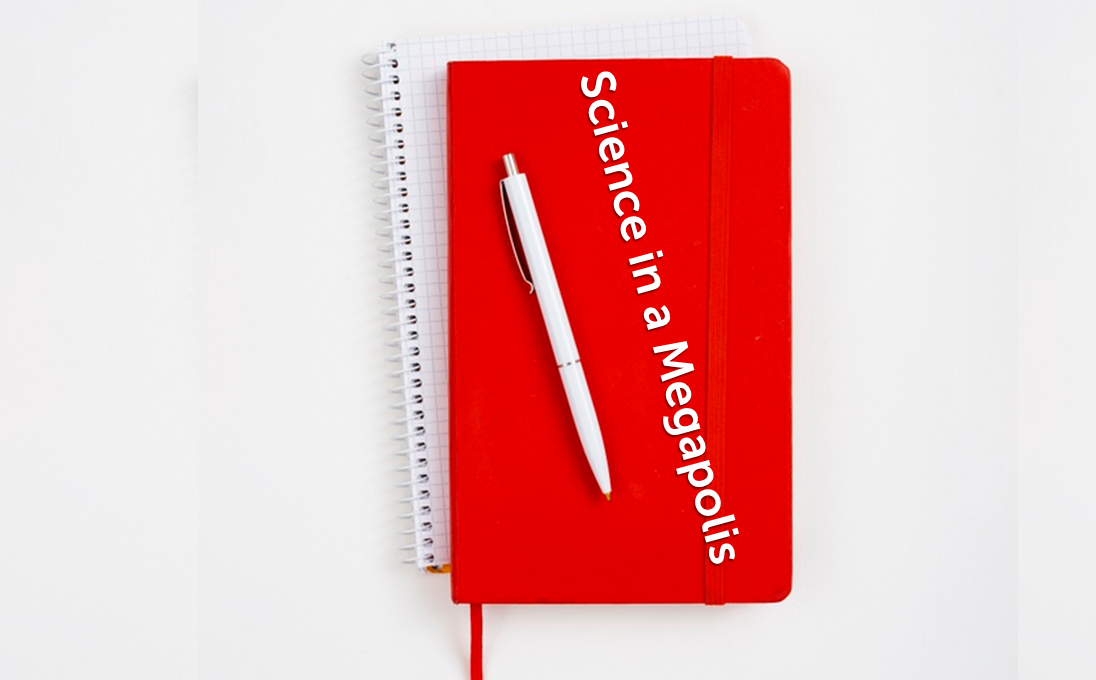 Публикации студентов ИГН в&nbsp;&laquo;Науке в&nbsp;мегаполисе&raquo;