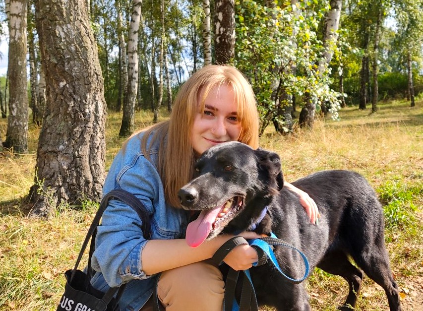 приют некрасовка для животных сайт. приют для собак некрасовка официальный сайт. приют некрасовка для животных сайт. приют некрасовка для животных 1 сектор. некрасовский приют для бездомных животных.