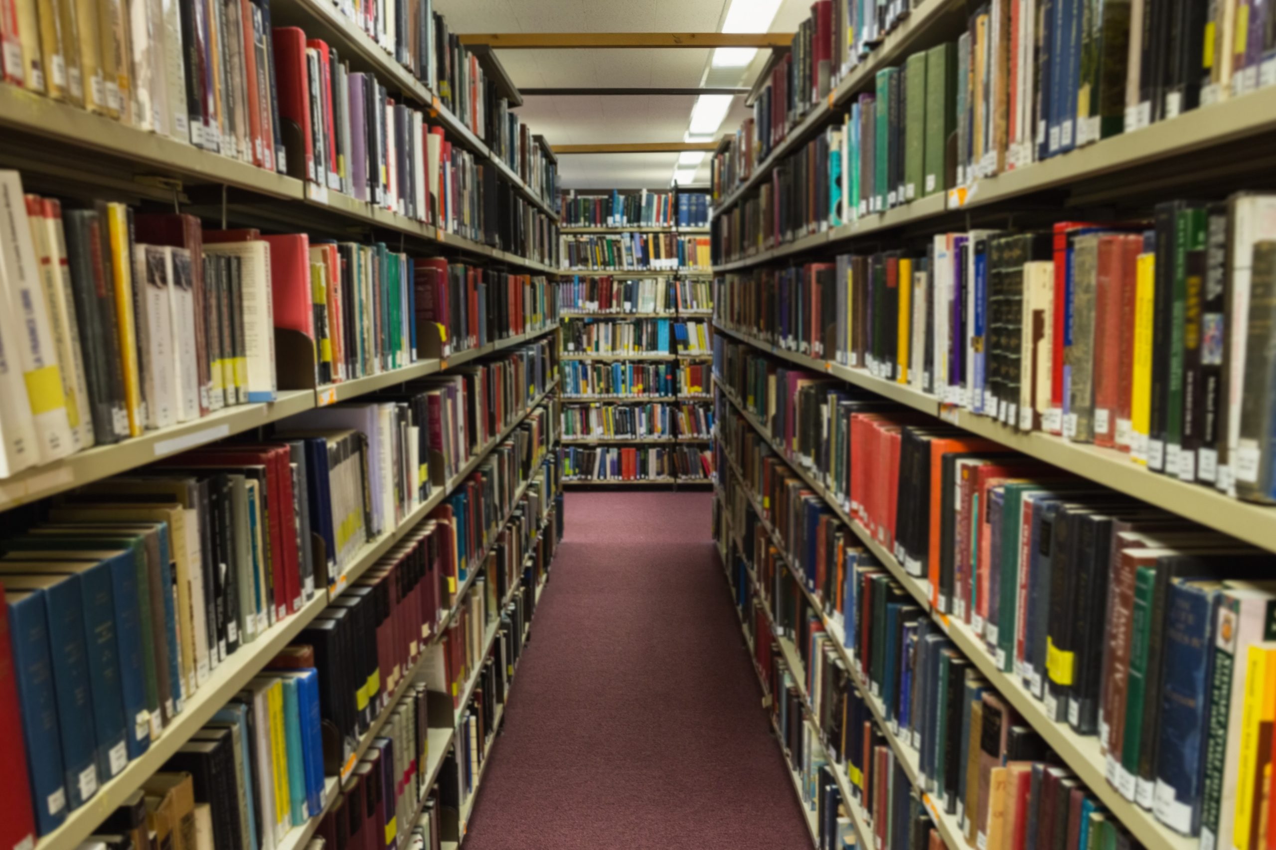 Елена Романичева о роли библиотеки в учебном процессе