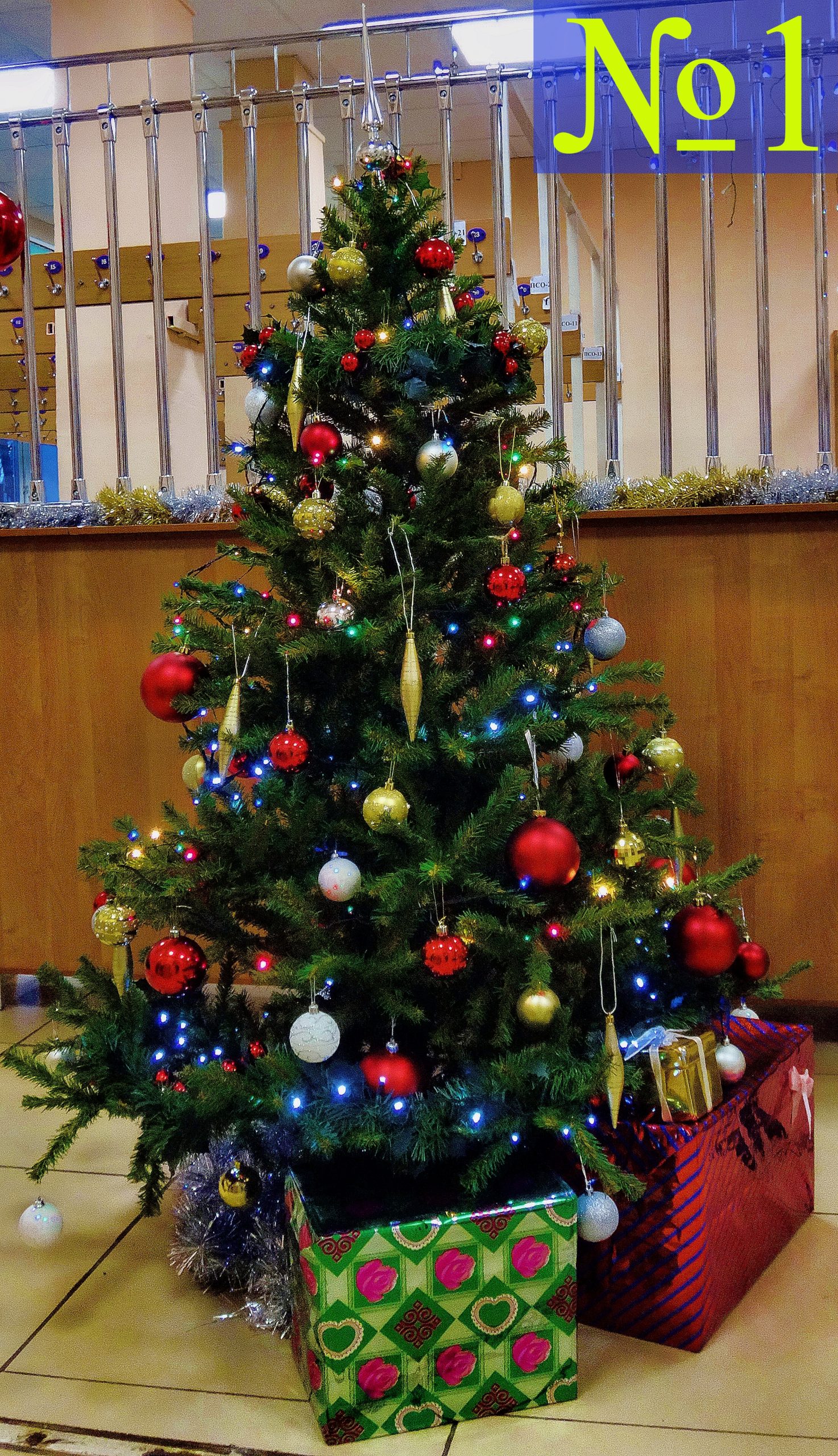 Ёлка № 1