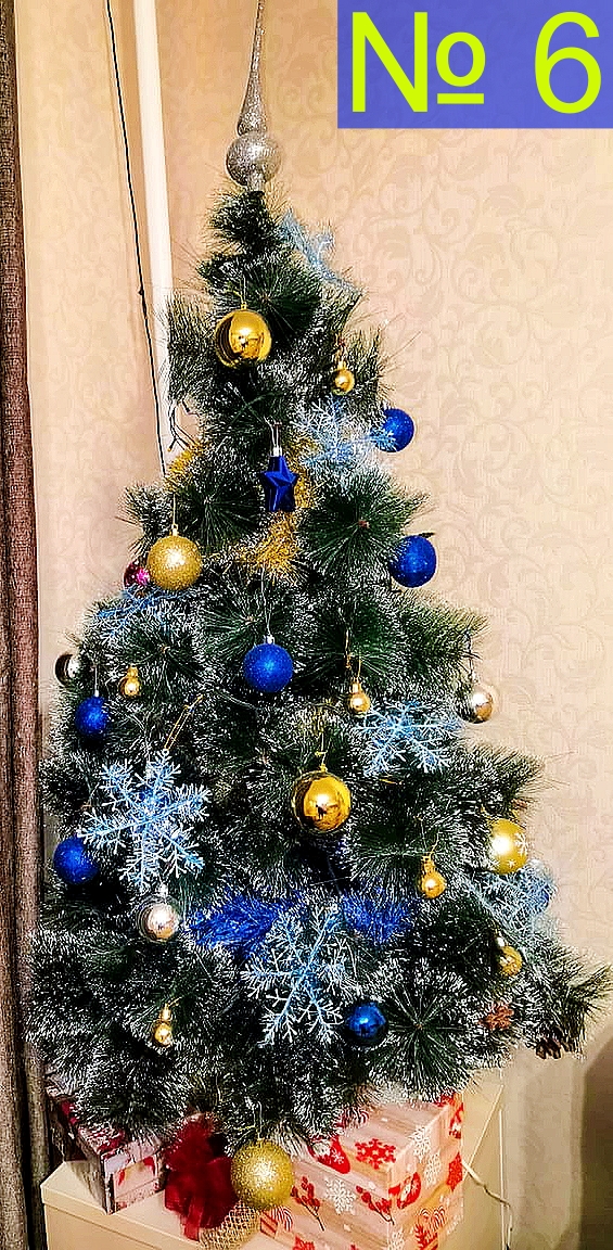Ёлка № 6