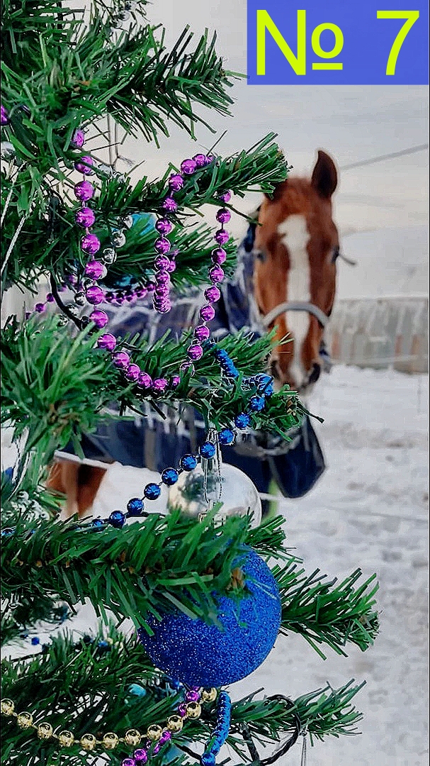 Ёлка № 7