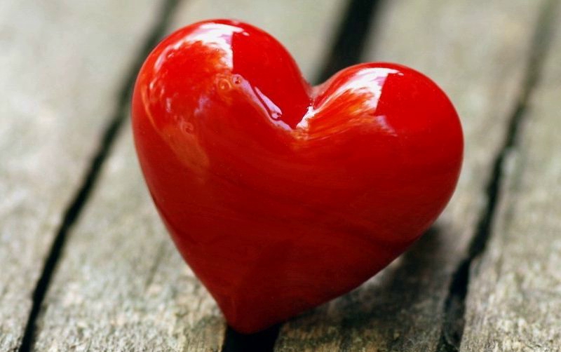 «Мы будем вечно и явно любить» — лирика в исполнении студентов