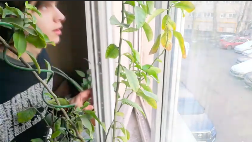 Снимок экрана 2021-01-23 в 14.39.09