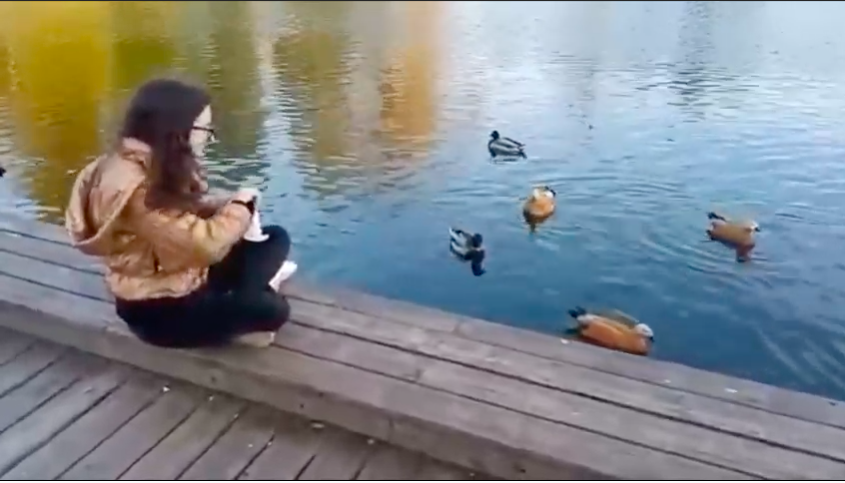 Снимок экрана 2021-01-23 в 14.41.04