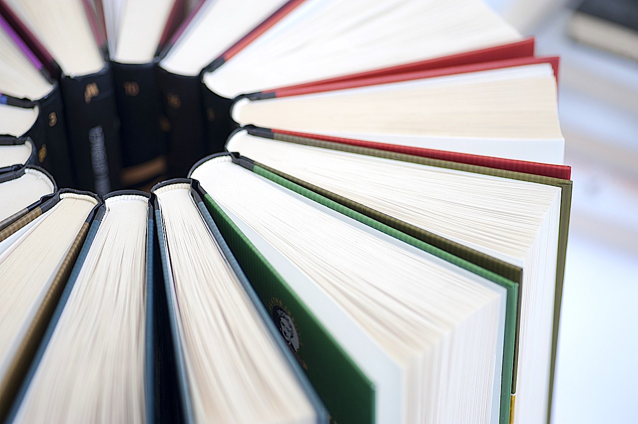 Доцент ИИЯ Юлия Красовицкая победила в конкурсе издательства Кнорус