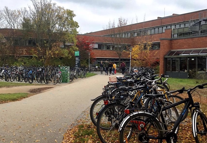 стденты ИИЯ учатся в Германии