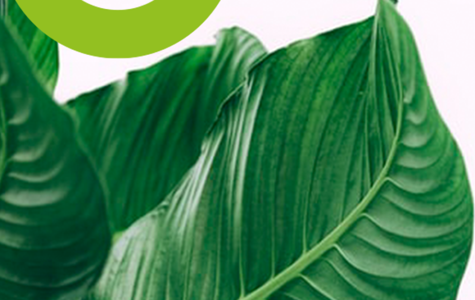 Старт-ПРО уходит на&nbsp;каникулы