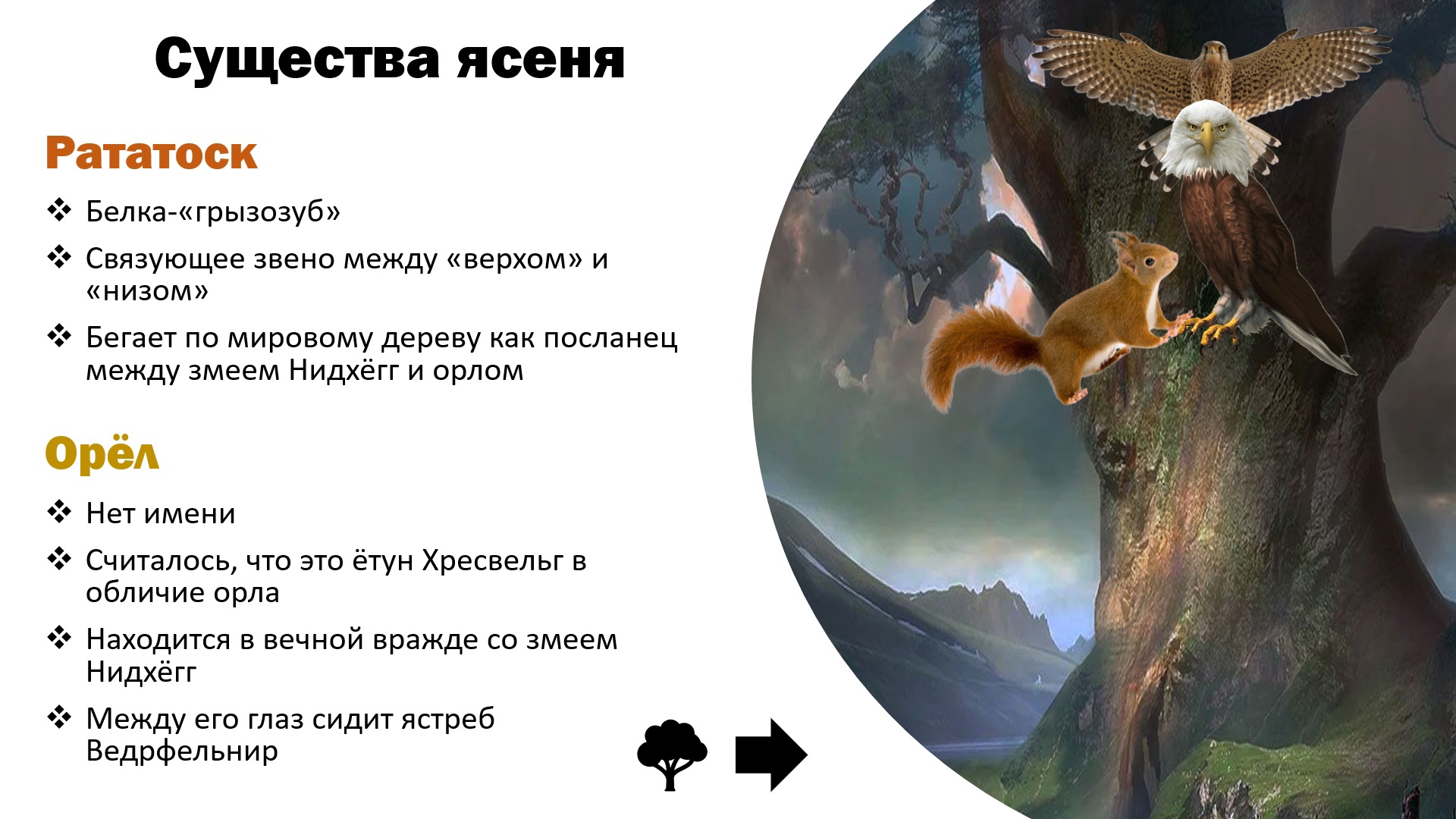 Ясень Личмановой, Стуковой, Балиновой1