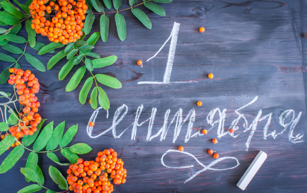 Колледж вновь открывает свои двери для студентов