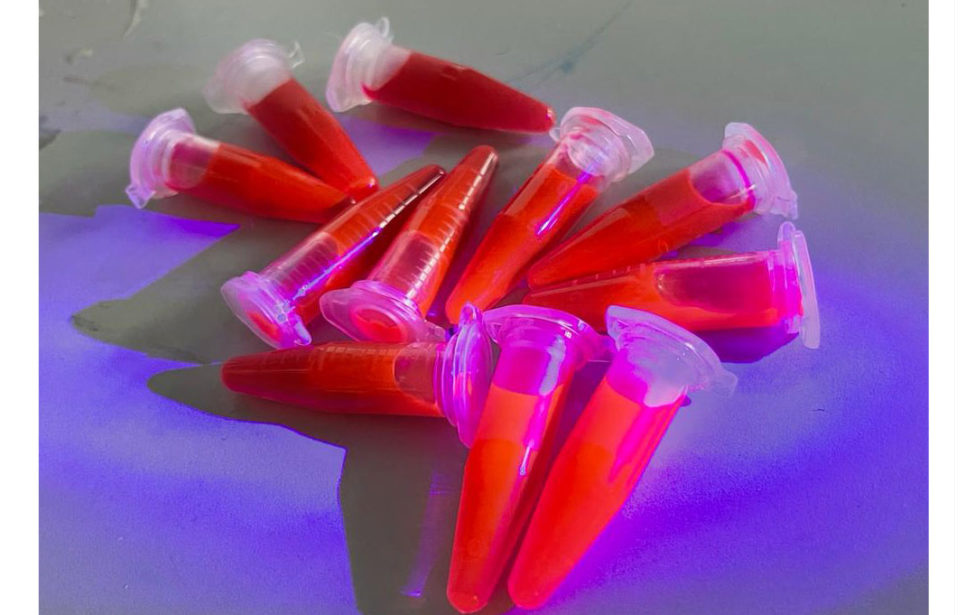 Вторая серия фотографий &laquo;Красивая наука&raquo;