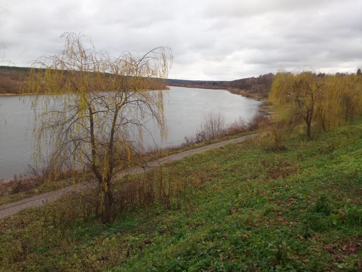 WhatsApp Image 2021-11-13 at 23.24.45